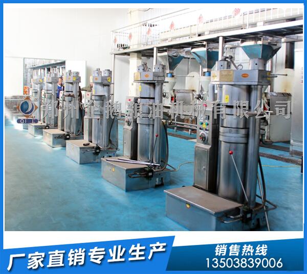 胡麻籽油加工設備,企鵝品牌厚積薄發(圖1) 胡麻油設備