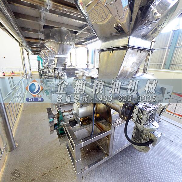 花生油加工設備生產線,企鵝品質名副其實(圖1) 花生榨油機設備