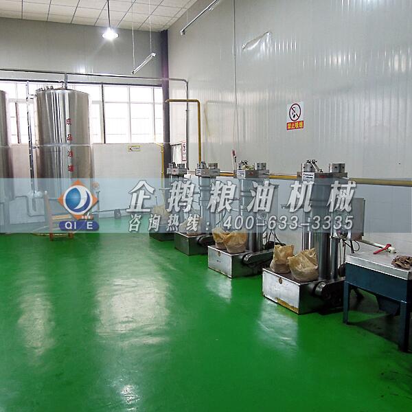 核桃油加工設備