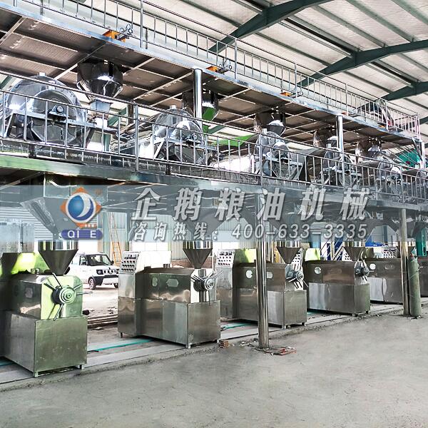 南瓜籽油加工設備 南瓜籽油加工設備