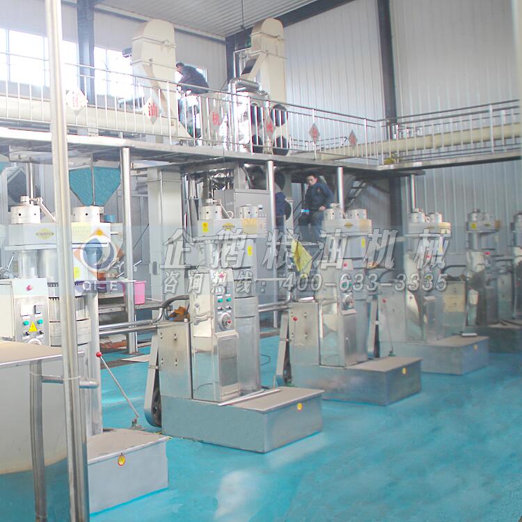 核桃油壓榨設備生產線,鄭州企鵝口碑相傳(圖1) 核桃油加工設備